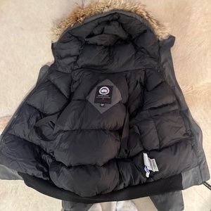 Grey Canada Goose Cropped